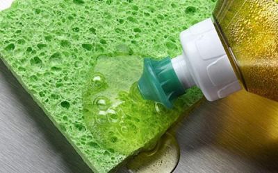 Bạn có biết